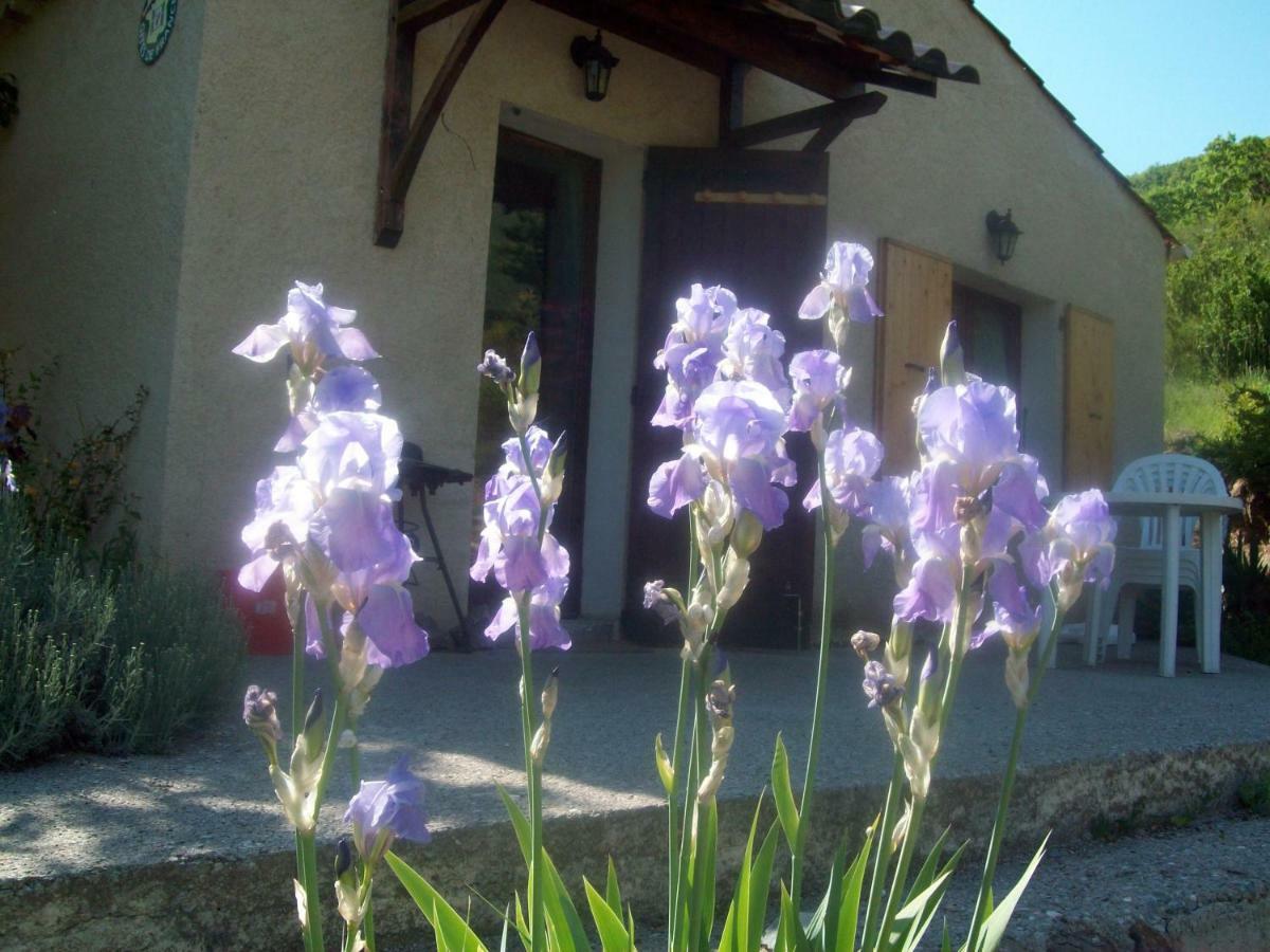 Gite Les Iris La Robine-Sur-Galabre Exterior photo